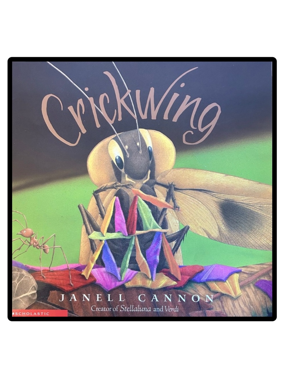 BUNDLE & SAVE 🎉 Crickwing by Janell Cannon Book
